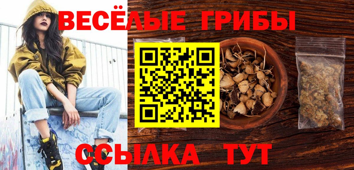 Калач-на-Дону  Галлюциногенные грибы ЛСД  Вход с VPN 